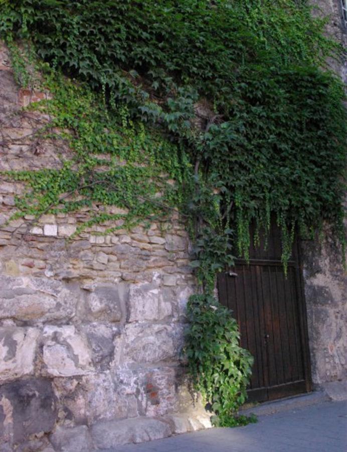 Aufhauser Hof Regensburg Eksteriør billede